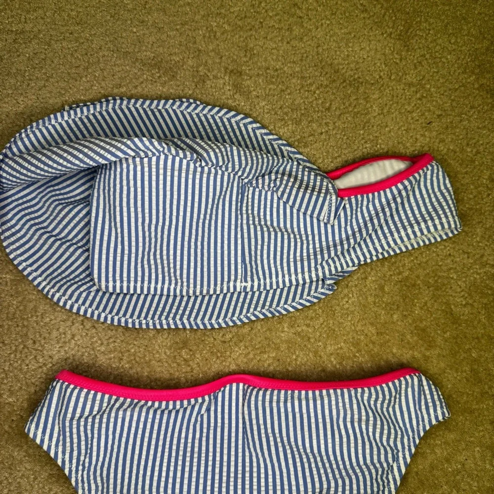 Crewcuts Blue and‎ Pink Striped Kids Bikini